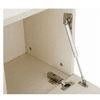 Safe and convenient Furniture Cabinet Gas Springs with Metal ball sockted end fitting